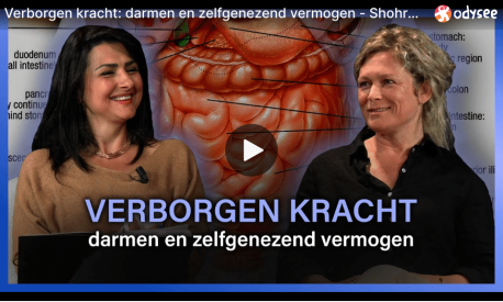 Screenshot video weltschmerz